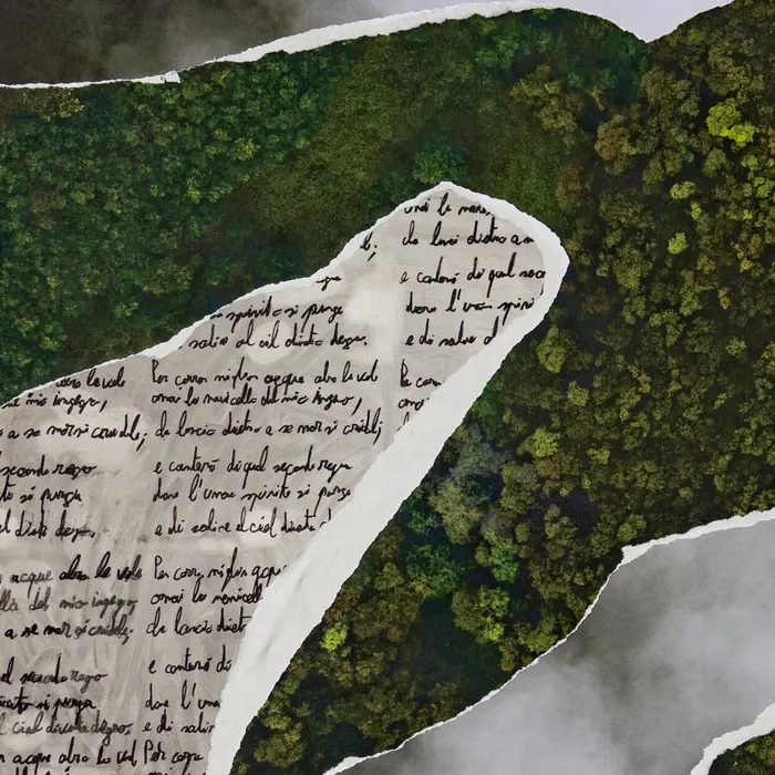 Dettaglio di Scarnificazione: sotto il bosco e le nuvole affiora un livello di testo scritto a mano.